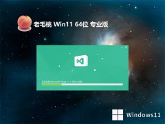 老毛桃64位win11娱乐功能版v2024.03