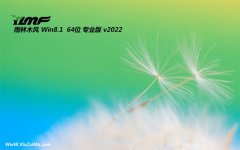 雨林木风最新win8.1 64位安全汉化版v2022.02